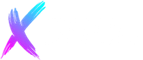 X3000