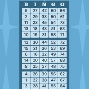 Kā spēlēt bingo internetā 3